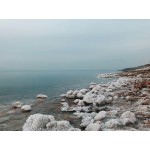 Nourishing Body Bath - Dead Sea Mud