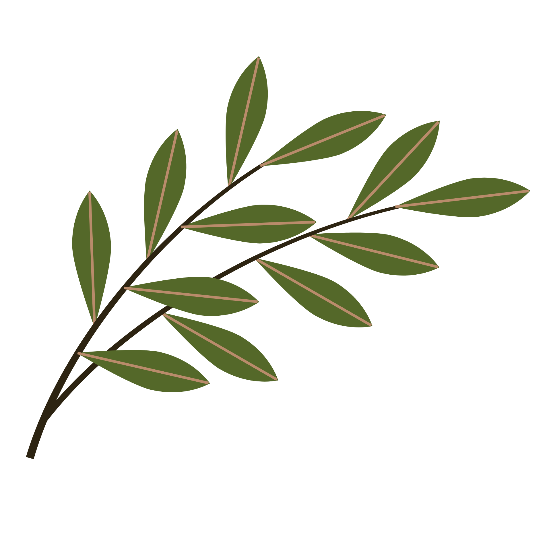 Olive icon